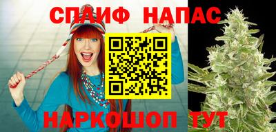 круглые Бийск