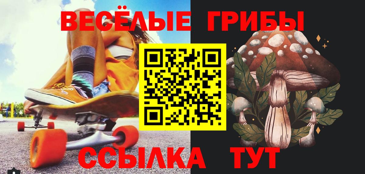 Кингисепп  Псилоцибиновые грибы Magic Shrooms  Галлюциногенные грибы Psilocybe  Вход с VPN 